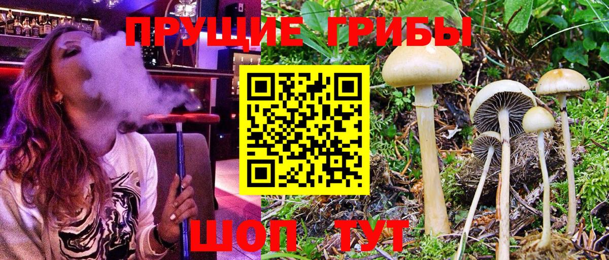 Псилоцибиновые грибы MAGIC MUSHROOMS  Вход с VPN  Галлюциногенные грибы Magic Shrooms  Удомля 