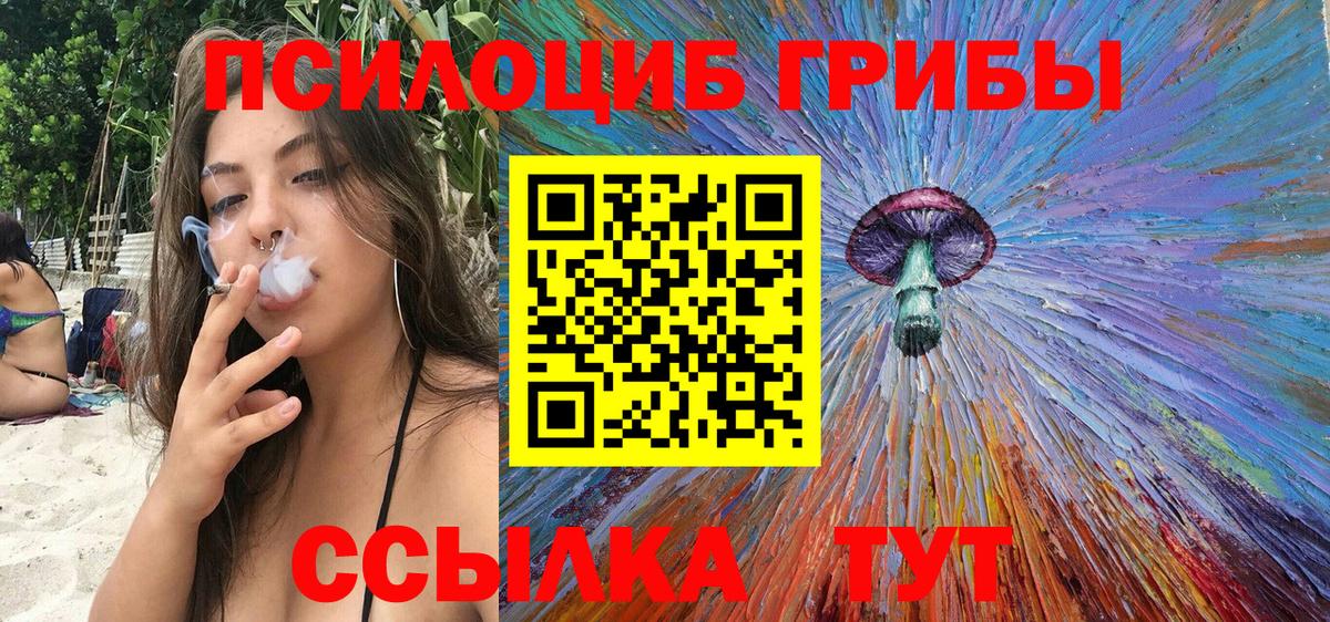 Псилоцибиновые грибы GOLDEN TEACHER Удомля